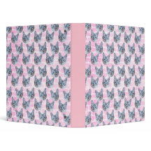 Pastellrosatito-Katze