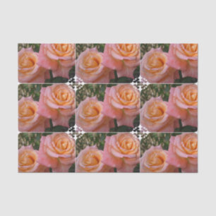 PastellRosen Seidenpapier