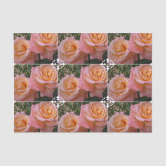 PastellRosen Seidenpapier