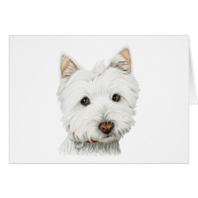 PastellWestie Hund (Vorderseite (Horizontal))