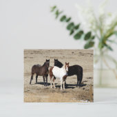 Pasteur Trio Postkarte (Stehend Vorderseite)