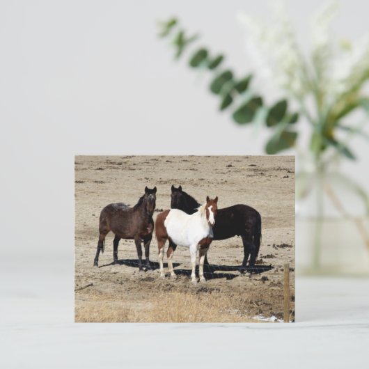 Pasteur Trio Postkarte (Stehend Vorderseite)