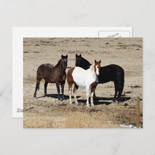 Pasteur Trio Postkarte (Vorne/Hinten)