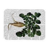 Pastinake 1 magnet (Horizontal)