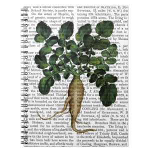 Pastinake 1 notizblock
