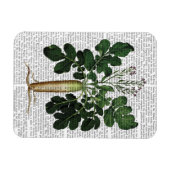 Pastinake 3 magnet (Horizontal)