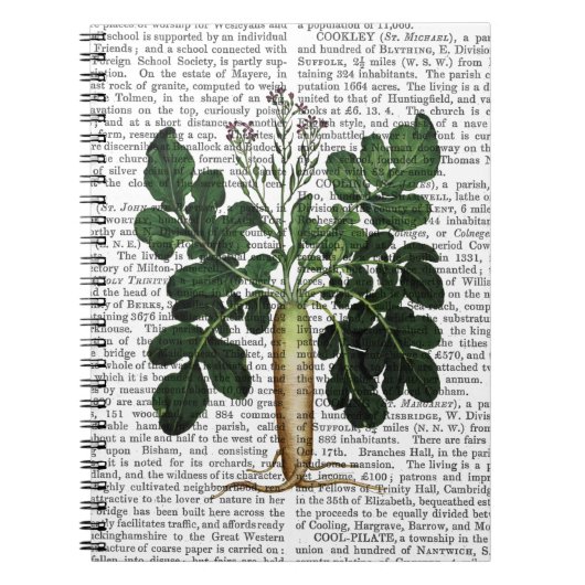 Pastinake 3 notizblock (Vorderseite)