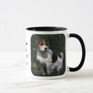 Pastor-Jack-Russell-Terrier Tasse