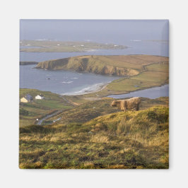 Pastoralküste Magnet