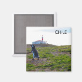 Patagonia Chile Penguin Magnet (Vorderseite/Rückseite)