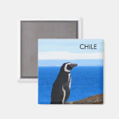 Patagonia Chile Penguin Magnet (Vorderseite/Rückseite)