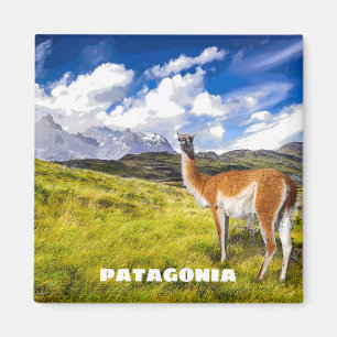 Patagonia Magnet