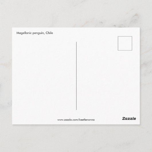 Patagonia Penguin Postkarte (Rückseite)