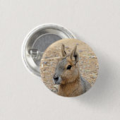 PATAGONIAN MARA BUTTON (Vorne & Hinten)