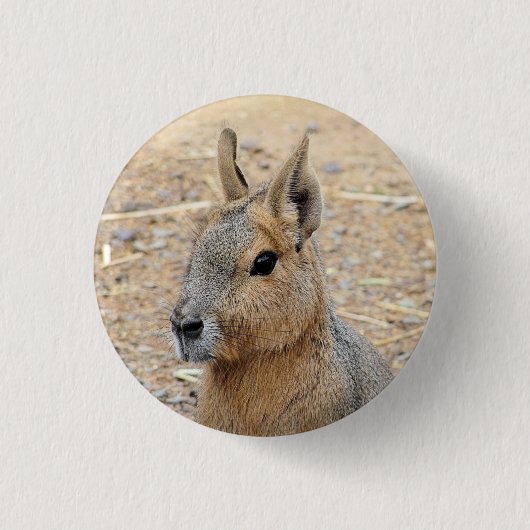 PATAGONIAN MARA BUTTON (Vorderseite)
