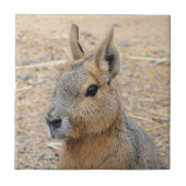 PATAGONIAN MARA FLIESE (Vorderseite)