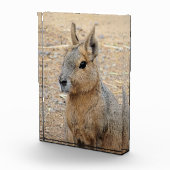 PATAGONIAN MARA FOTOBLOCK (Rechts)
