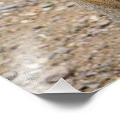 PATAGONIAN MARA FOTODRUCK (Ecke)