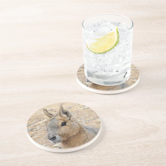 PATAGONIAN MARA GETRÄNKEUNTERSETZER (Seite)