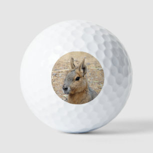 PATAGONIAN MARA GOLFBALL