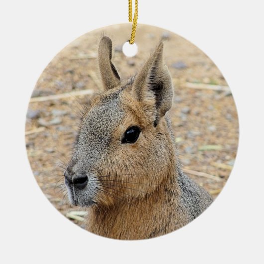 PATAGONIAN MARA KERAMIK ORNAMENT (Vorne)