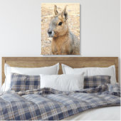 PATAGONIAN MARA LEINWANDDRUCK (Insitu (Schlafzimmer))