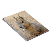 PATAGONIAN MARA NOTIZBLOCK (Rechte Seite)