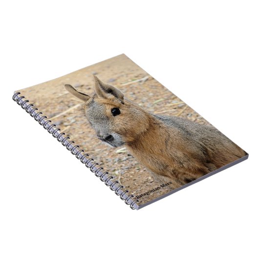 PATAGONIAN MARA NOTIZBLOCK (Rechte Seite)