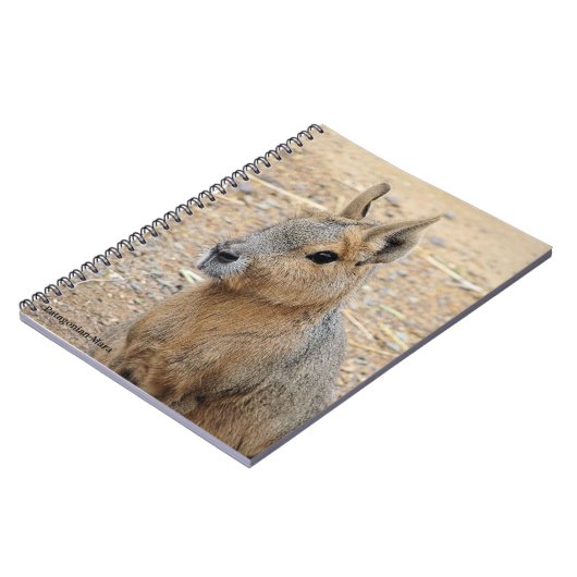 PATAGONIAN MARA NOTIZBLOCK (Linke Seite)