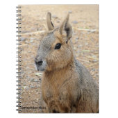 PATAGONIAN MARA NOTIZBLOCK (Vorderseite)