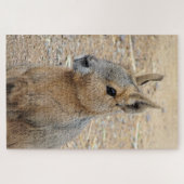 PATAGONIAN MARA PUZZLE (Horizontal)