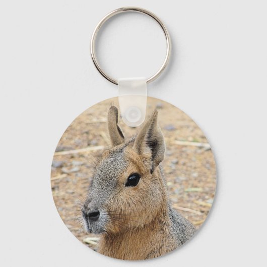PATAGONIAN MARA SCHLÜSSELANHÄNGER (Vorderseite)