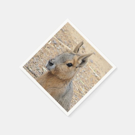 PATAGONIAN MARA SERVIETTE (Ecke)