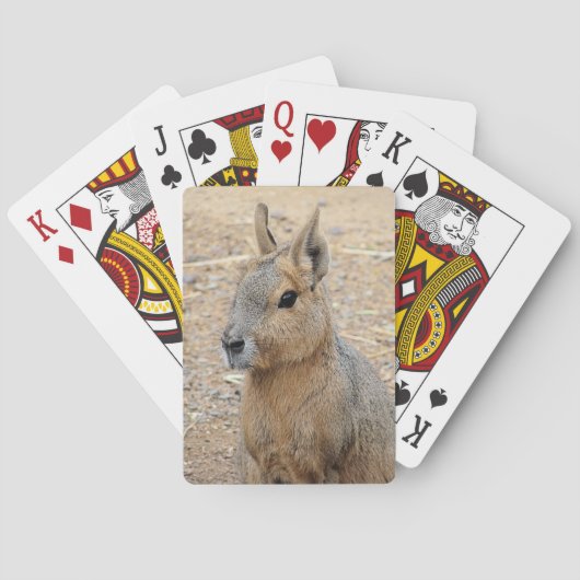 PATAGONIAN MARA SPIELKARTEN (Rückseite)