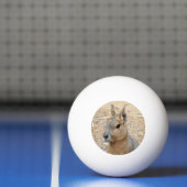 PATAGONIAN MARA TISCHTENNISBALL (Netto)