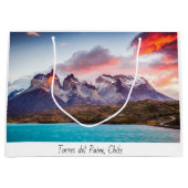 Patagonie Große Geschenktüte (Vorderseite)