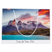 Patagonie Große Geschenktüte (Rückseite)