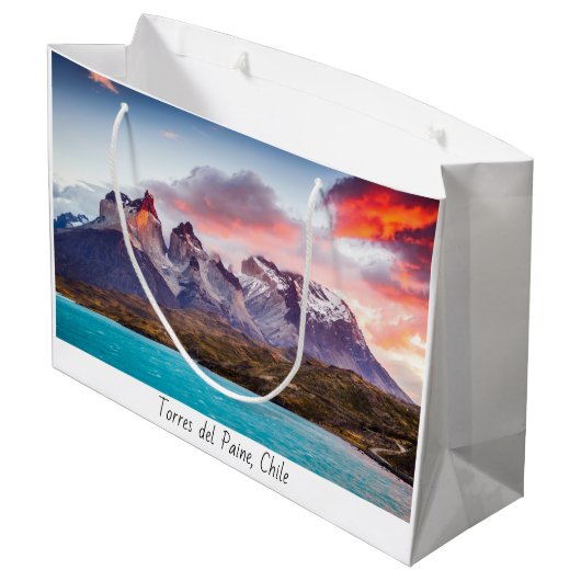 Patagonie Große Geschenktüte (Rückseite Schrägansicht)