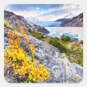 Patagonie Quadratischer Aufkleber (Vorderseite)