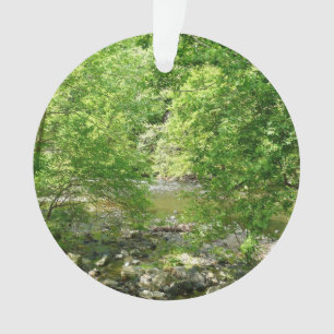 Patapsco River Blick Maryland Naturfotografie Ornament