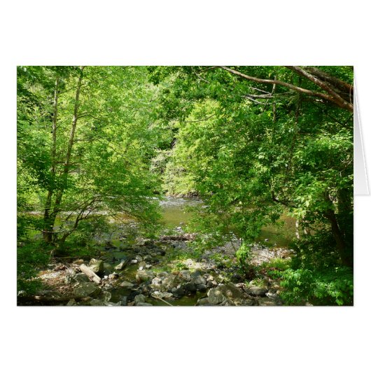Patapsco River View Maryland Nature Fotografy (Vorderseite (Horizontal))