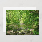 Patapsco River View Maryland Nature Fotografy (Vorne/Hinten)