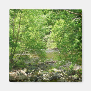 Patapsco River View Maryland Nature Fotografy Magnet