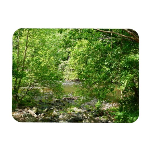 Patapsco River View Maryland Nature Fotografy Magnet (Horizontal)