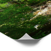 Patapsco River View Maryland Nature Fotografy Poster (Ecke)