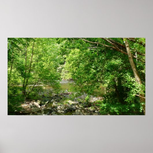 Patapsco River View Maryland Nature Fotografy Poster (Vorne)