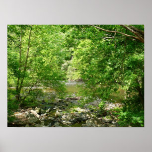Patapsco River View Maryland Nature Fotografy Poster