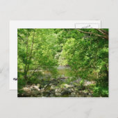 Patapsco River View Maryland Nature Fotografy Postkarte (Vorne/Hinten)