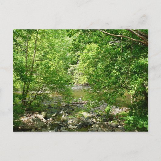 Patapsco River View Maryland Nature Fotografy Postkarte (Vorderseite)