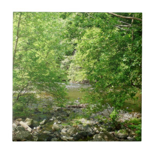 Patapsco River View Maryland Naturfotografie Fliese
